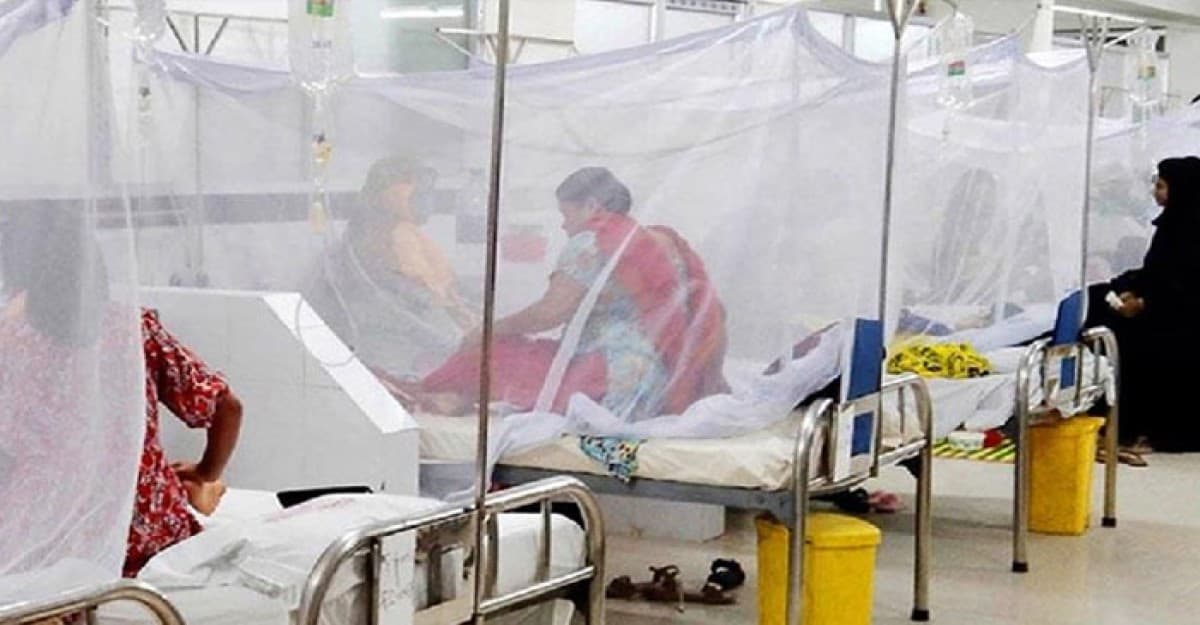 ডেঙ্গুতে একদিনে সর্বোচ্চ ৯ জনের প্রাণহানি