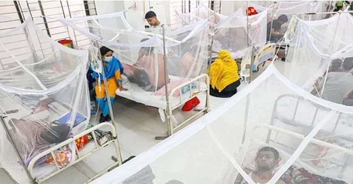 ২৪ ঘণ্টায় ডেঙ্গুতে প্রাণ গেল ৮ জনের