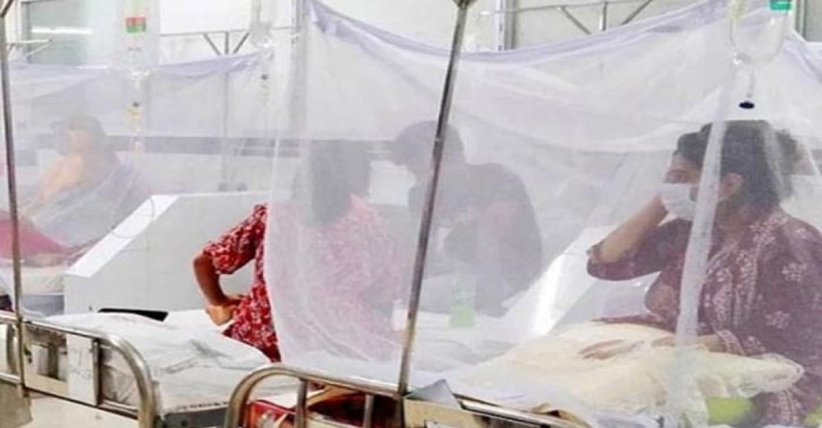 ডেঙ্গুতে এক সপ্তাহে ৩২ জনের মৃত্যু, হাসপাতালে ভর্তি ৭২৪১