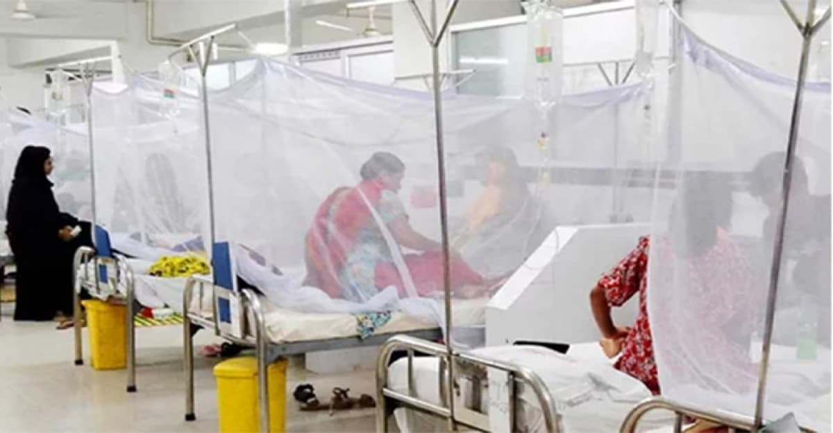 ডেঙ্গুতে আরও ৪ জনের প্রাণহানি, হাসপাতালে ১১৫৪