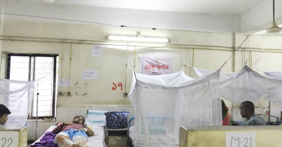 লালমনিরহাট সদর হাসপাতালে প্রতিদিন আসছে ডেঙ্গু রোগী