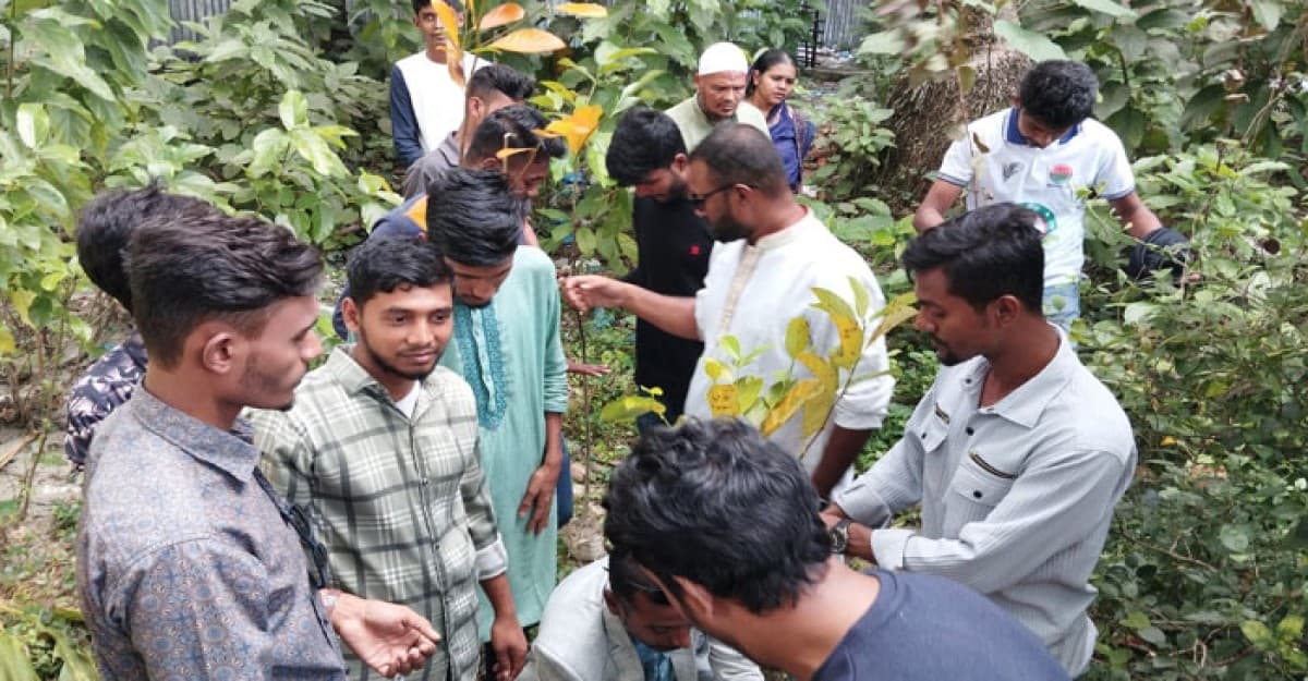 বাউফলে জাতীয়তাবাদী ছাত্র দলের বৃক্ষ রোপণ কর্মসূচি পালন