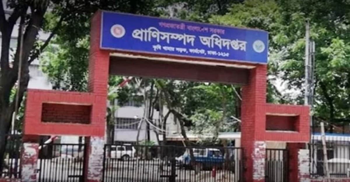 প্রাণিসম্পদ অধিদপ্তরে ১১৫ পদে চাকরি