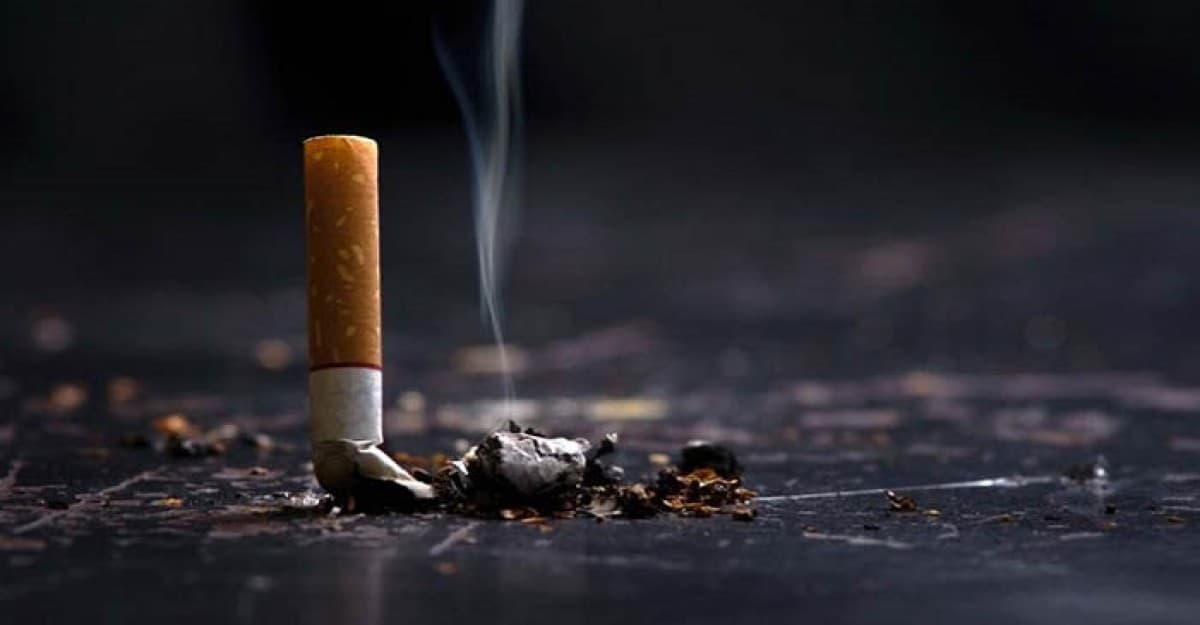 প্রতিটি সিগারেটে পুরুষেরা আয়ু হারায় ১৭ মিনিট, নারীরা ২২