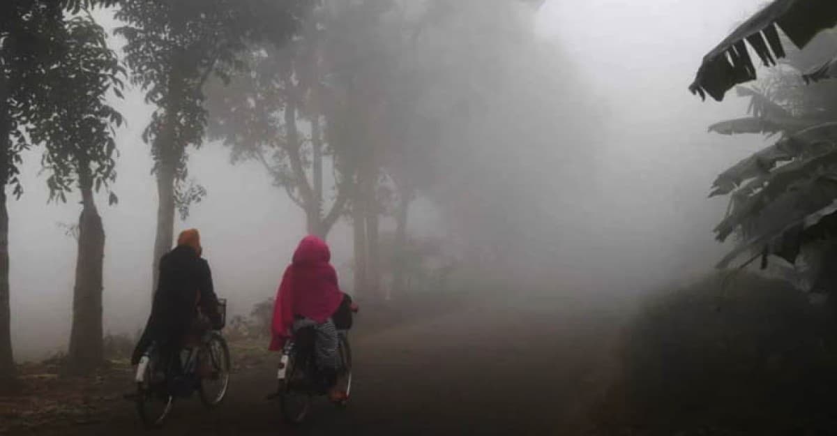 দেশের সর্বত্র শীতের দাপট, ১০ জেলায় শৈত্যপ্রবাহ