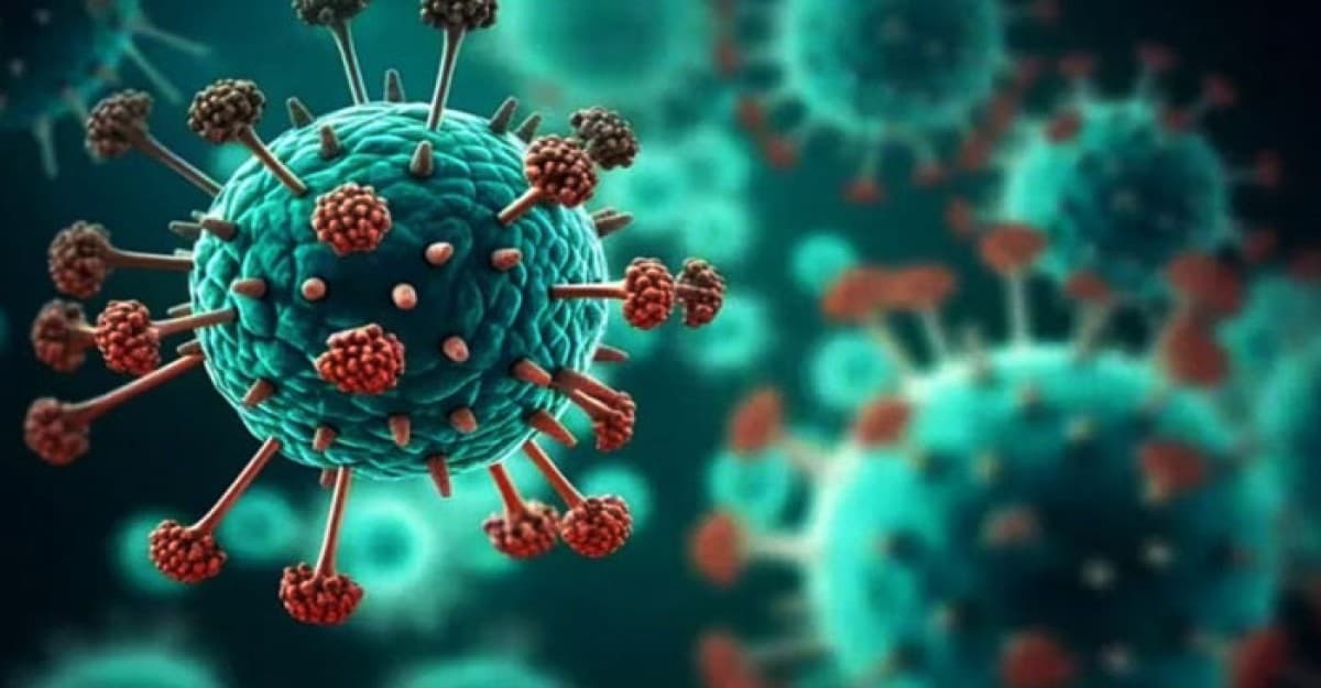 দেশে এইচএমপিভিতে আক্রান্ত নারীর মৃত্যু