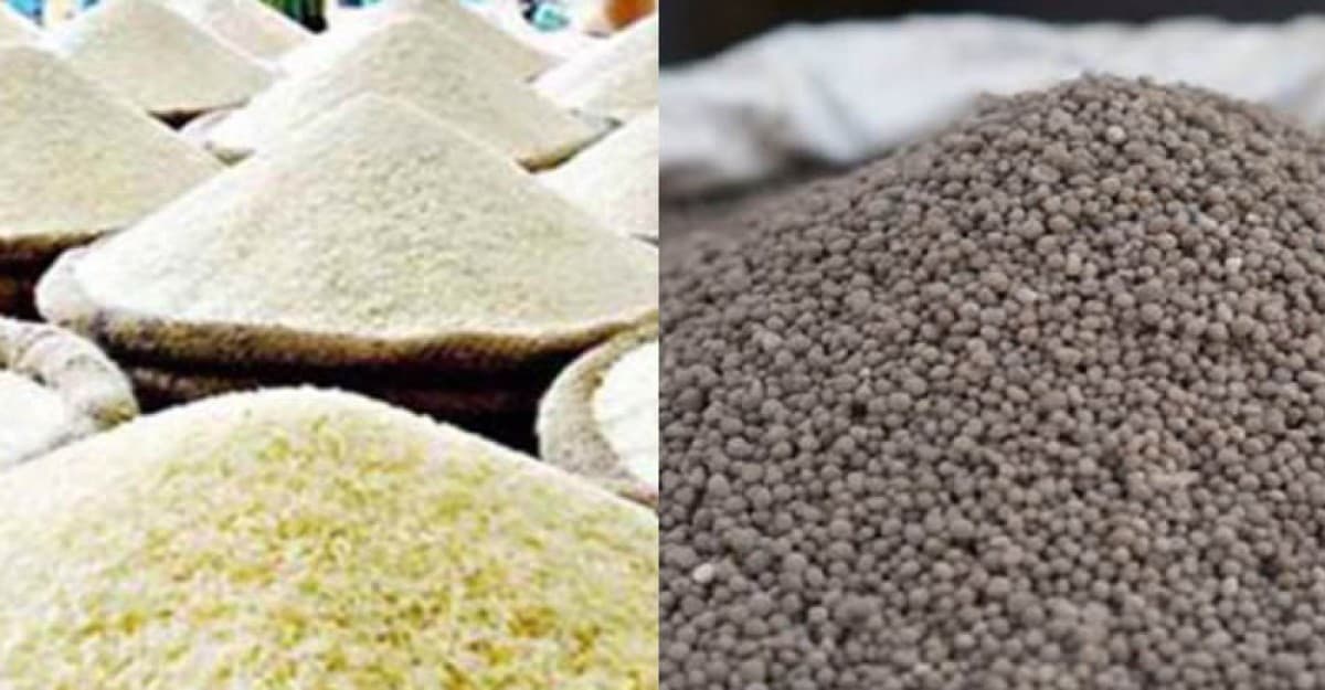 ভিয়েতনাম থেকে চাল ও মরক্কো থেকে সার আনছে সরকার