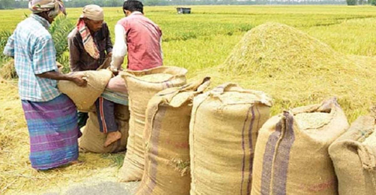 আমন চাল সংগ্রহে ব্যর্থ কর্মকর্তাদের বিরুদ্ধে ব্যবস্থা নিতে চিঠি