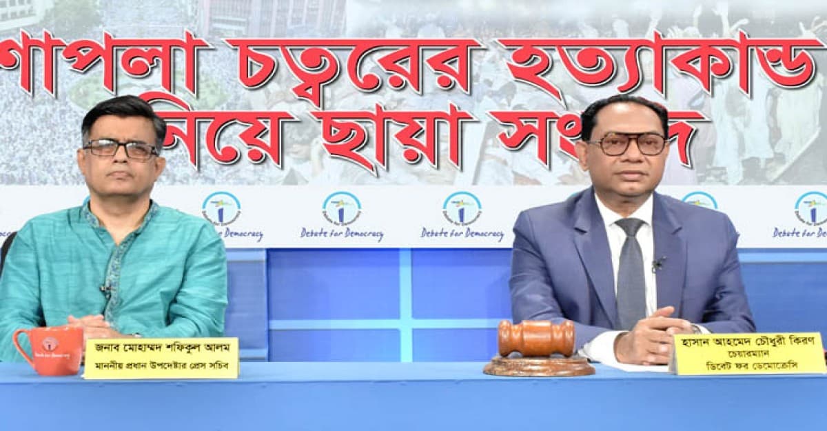 ২০১৩ সাল ছিল আ.লীগের হত্যার মহোৎসব: শফিকুল আলম