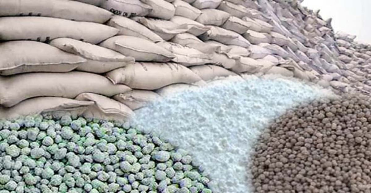 দিনাজপুরে সার ডিলারদের সিন্ডিকেটের কারণে উচ্চ মূল্য সার কিনতে হচ্ছে কৃষকদের