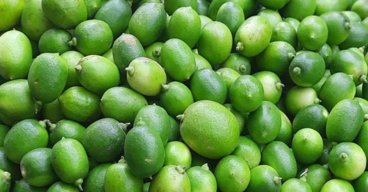 লেবুর রাজ্যে লেবুর দাম কয়েক দিনের ব্যবধানে ৩-৪ গুণ বৃদ্ধি