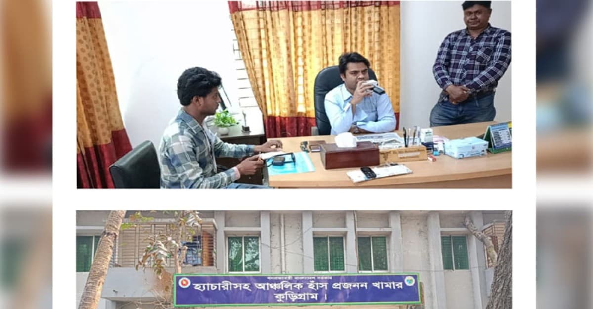 হাঁসের খামার করে স্বাবলম্বী হবে যুবকরা