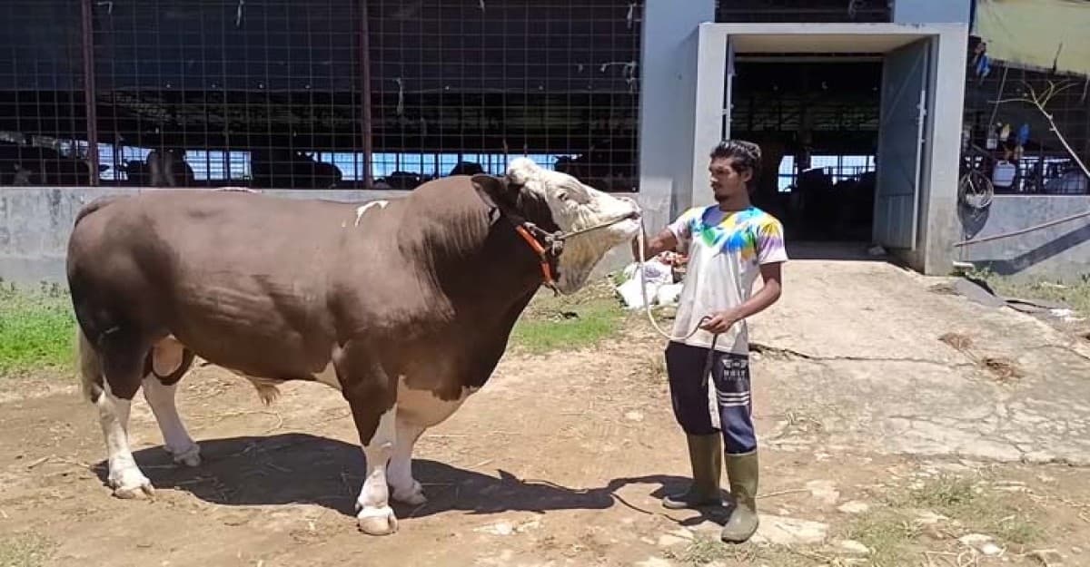 মৌলভীবাজারে হাট কাঁপাচ্ছে ‘তুফান’