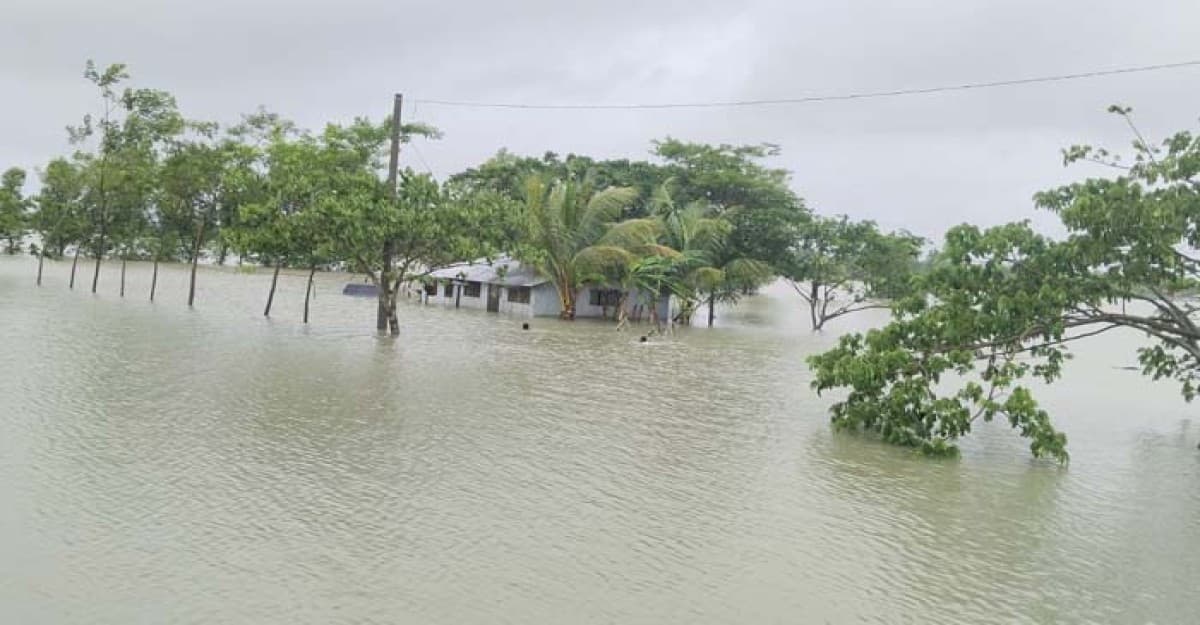 নিম্নচাপের প্রভাবে রাঙ্গাবালীতে ঘের-পুকুর তলিয়ে কোটি টাকার ক্ষতি!