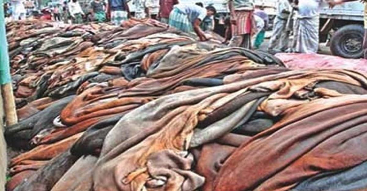 যে কারণে চামড়ার দাম কমেছে জানালেন শিল্প উপদেষ্টা