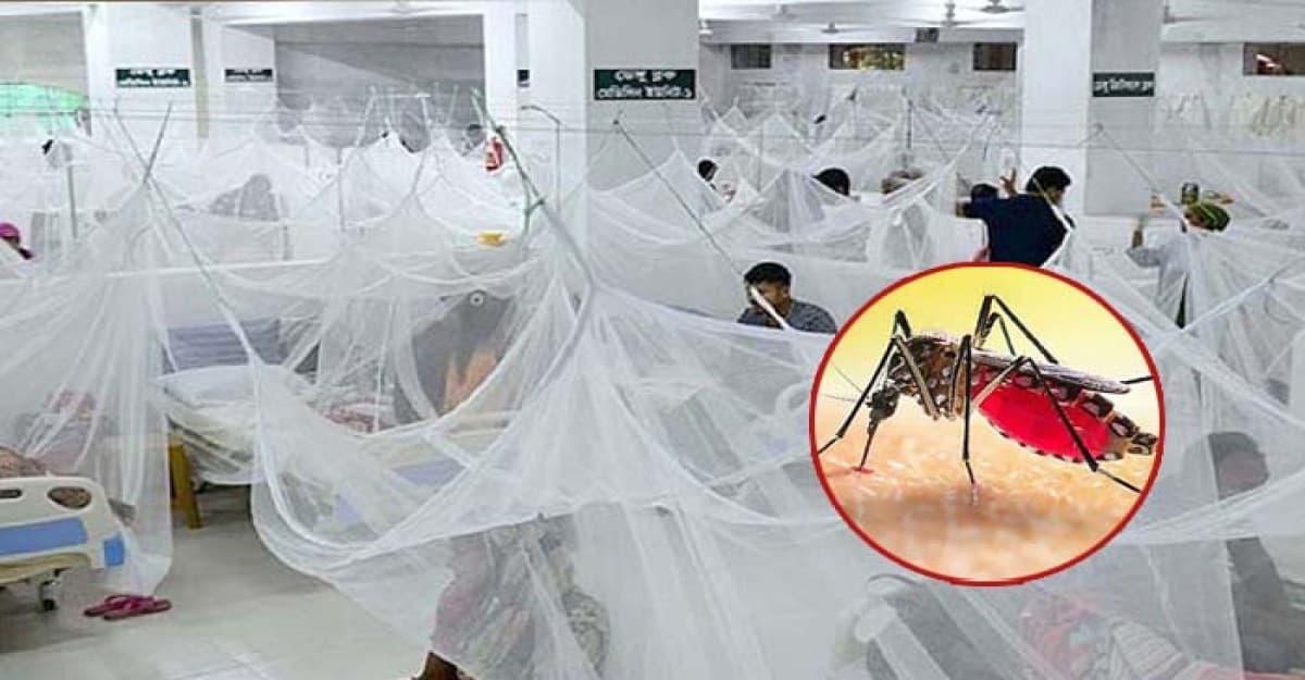 ২৪ ঘণ্টায় ডেঙ্গুতে আক্রান্ত ২৯৪ জন, অর্ধেকই বরিশাল ও চট্টগ্রামে
