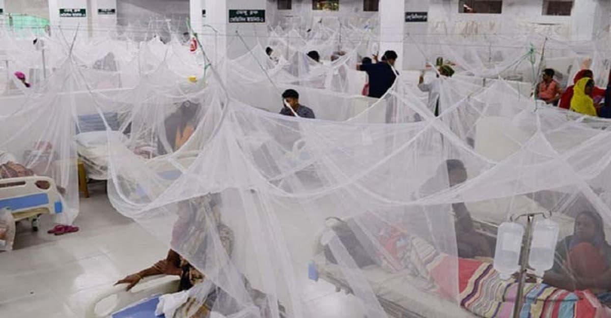 ডেঙ্গুতে আরও একজনের মৃত্যু, একদিনে হাসপাতালে ভর্তি ৪২০ জন