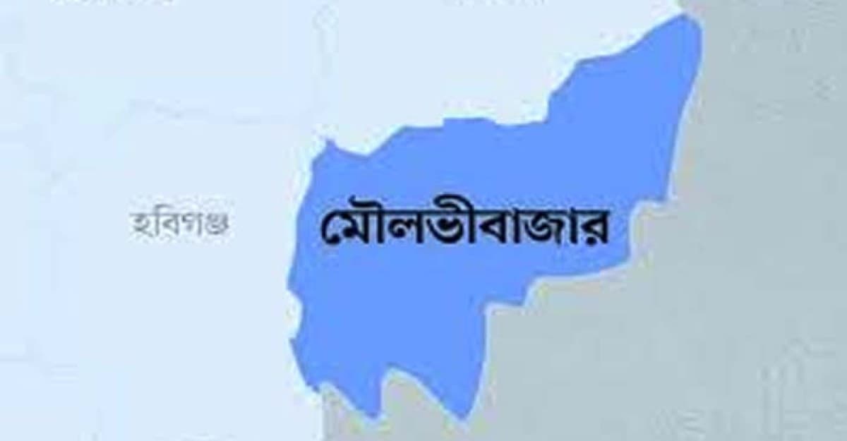 মৌলভীবাজারে ট্রাক নিয়ন্ত্রণ হারিয়ে নার্সারি মালিক নিহত