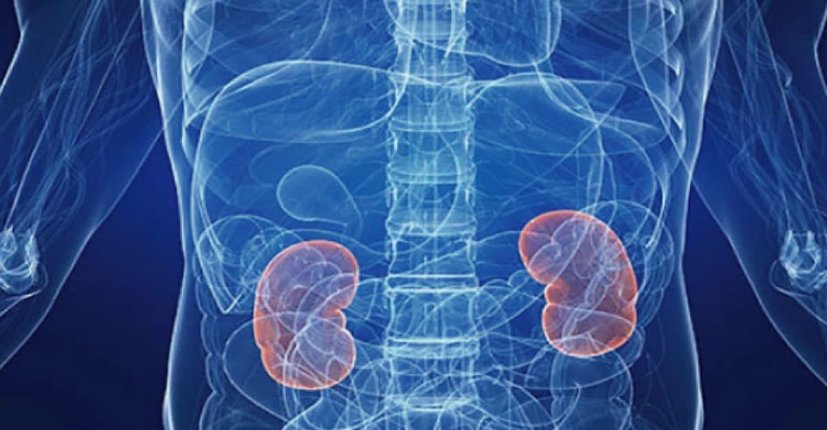 দিনে কতবার প্রস্রাব হওয়া স্বাভাবিক, যেসব লক্ষণ দুশ্চিন্তার বিষয়