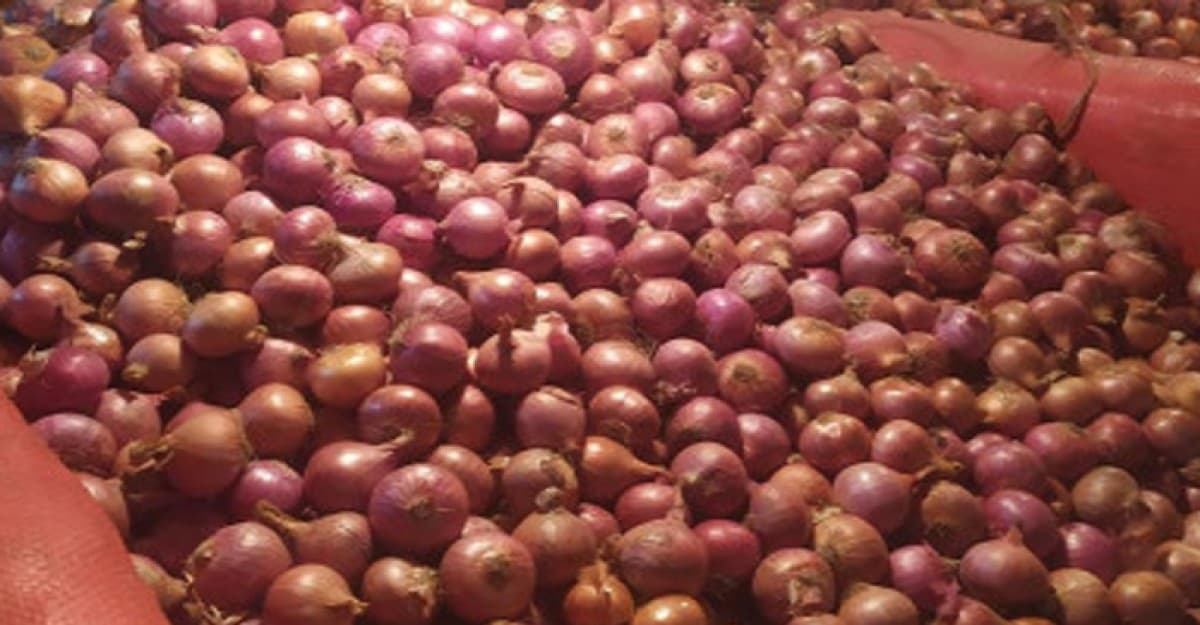 পেঁয়াজের ঝাঁজে পুড়ছে বাজার, যেকোনো সময় হতে পারে সেঞ্চুরি