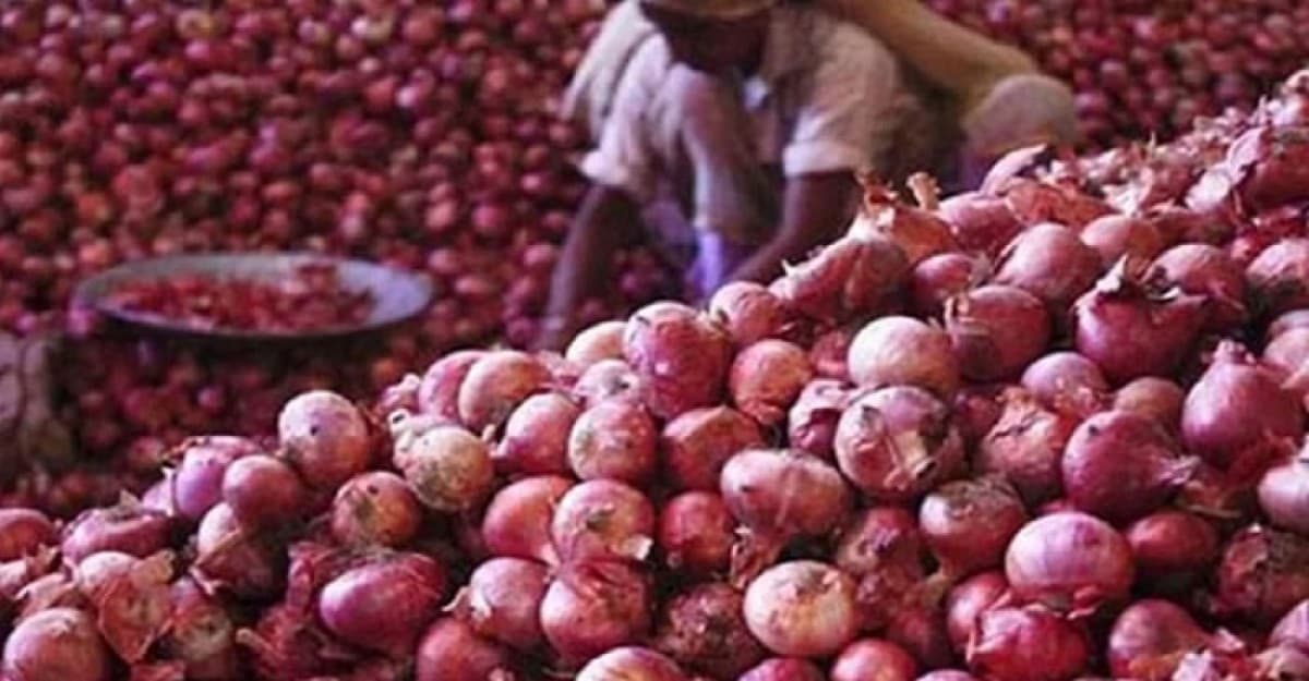 হিলি স্থলবন্দরে পেঁয়াজ আমদানি বন্ধ, বাজারে হঠাৎ দাম বৃদ্ধি