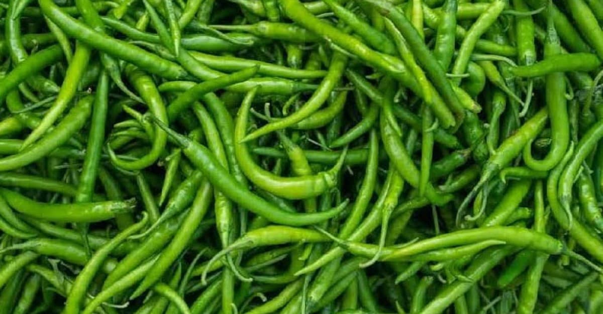 কমেছে কাঁচামরিচের দাম, বিপাকে আমদানিকারকরা