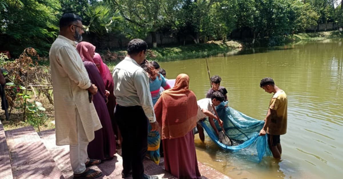 তিতাসে উন্মুক্ত জলাশয়ে পোনামাছ অবমুক্ত