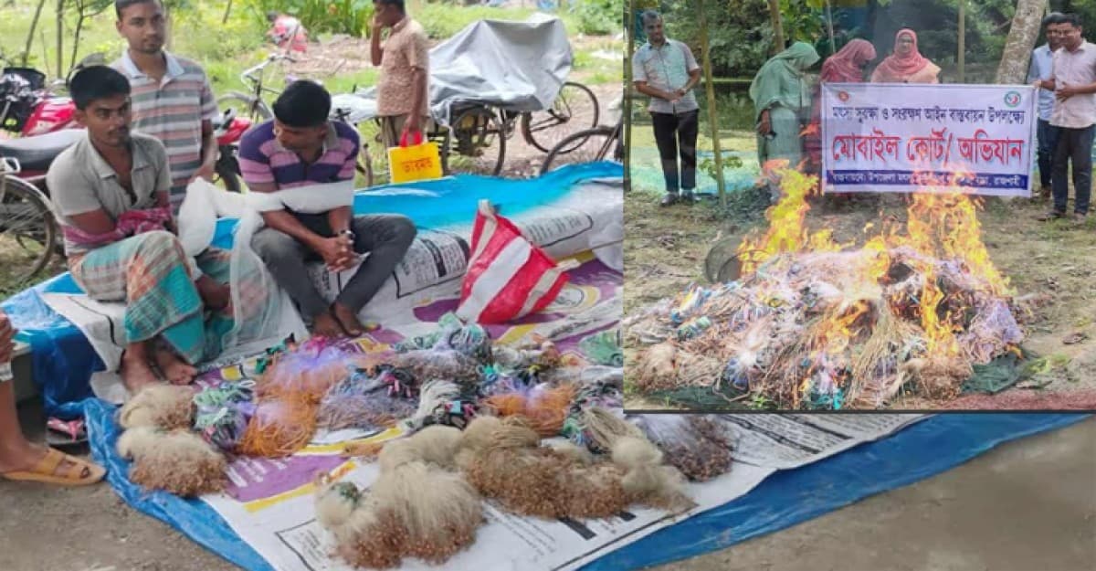 রাজশাহীতে নিষিদ্ধ কারেন্ট জাল জব্দ