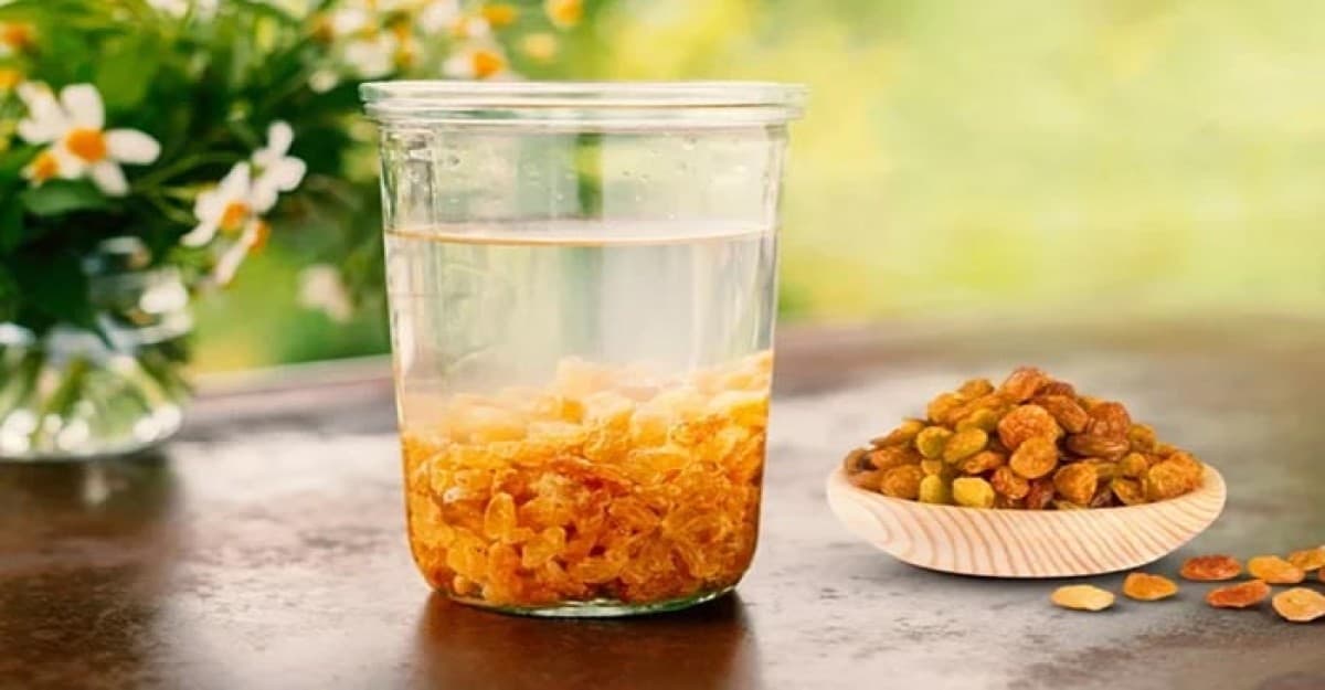 প্রতিদিন সকালে কিশমিশ ভেজানো পানি খেলে যেসব উপকারিতা পাবেন