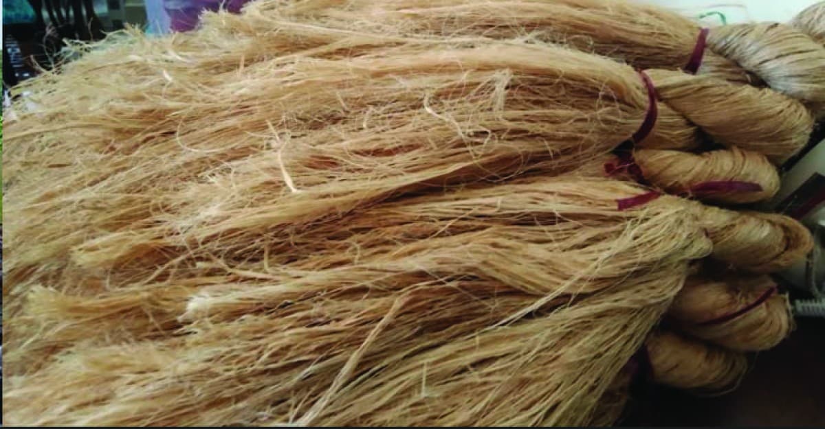 রাঙামাটিতে দেশের প্রথম কলা গাছের সুতা দিয়ে স্যানিটারি ন্যাপকিন তৈরি