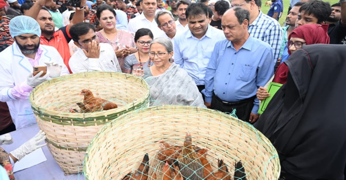 প্রাণিজ পুষ্টিতে সমৃদ্ধ বাংলাদেশ গড়ে তুলতে নারীদের সম্পৃক্ততা অপরিহার্য: ফরিদা আখতার