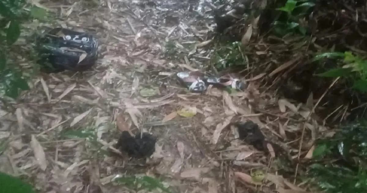 স্কুলে আপত্তিকর আচরণে টিসি, এরপরই খুনের শিকার মারিয়া!