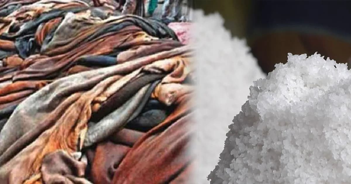চামড়ার নতুন দাম ঘোষণা, বিনামূল্যে লবণ দেবে সরকার