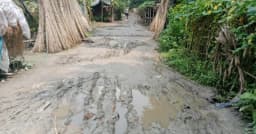 শ্রীপুরে ২ কিলোমিটার কাঁচা সড়কের বেহাল দশা