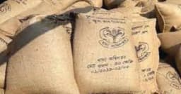সোনারগাঁয়ে রাস্তায় পড়ে রইল ওএমএসের চালের বস্তা