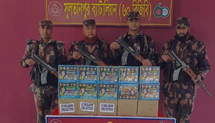 কুমিল্লা-ব্রাহ্মণবাড়িয়ার সীমান্তে বিজিবির অভিযানে অবৈধ পণ্য জব্দ