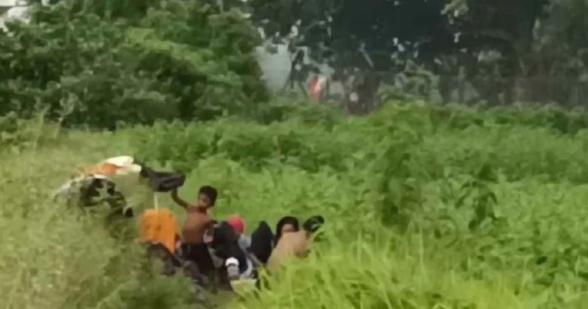 টানা তৃতীয় দিনের মতো পাটক্ষেতে দিন কাটাচ্ছেন সেই ১২ জন