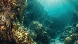 সাগরতলে এশিয়ার বৃহত্তম স্বর্ণখনির সন্ধান পেল চীন