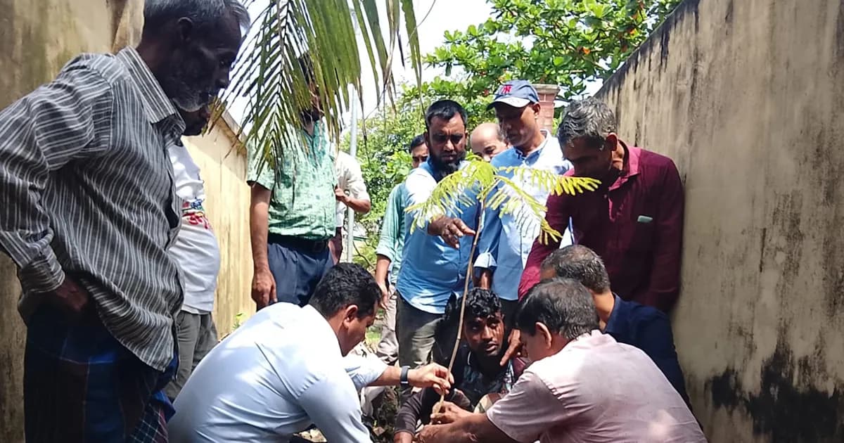 শাল্লায় বৃক্ষরোপণ ও বৃক্ষ বিতরণ কর্মসূচি অনুষ্ঠিত