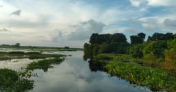 বর্ষার জলে প্রাণ ফিরে পেয়েছে আড়িয়ল বিল, মুগ্ধ প্রকৃতিপ্রেমীরা