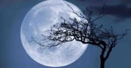 বছরের শেষ সুপারমুন আজ, বাংলাদেশ থেকে যেভাবে দেখাযাবে