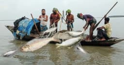 বঙ্গোপসাগরে মাছ ধরায় ৫৮ দিনের নিষেধাজ্ঞা জারি