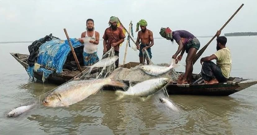 বঙ্গোপসাগরে মাছ ধরায় ৫৮ দিনের নিষেধাজ্ঞা জারি
