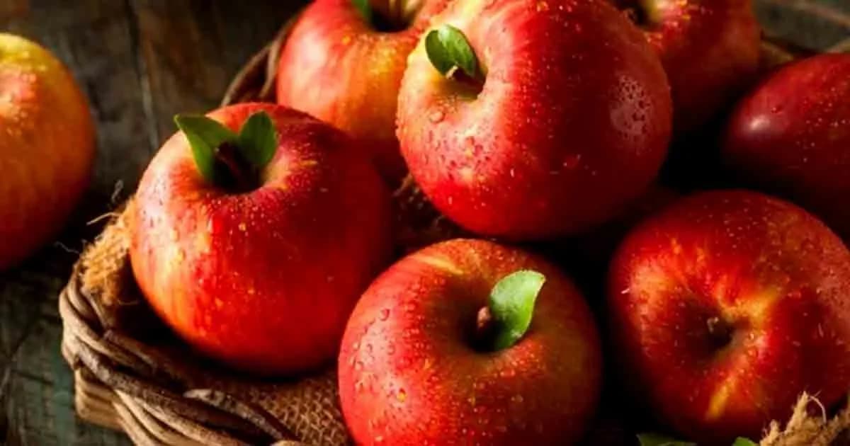 একটি আপেল প্রতিদিন ডাক্তারকে দূরে রাখে: সত্যি নাকি ধারণা?