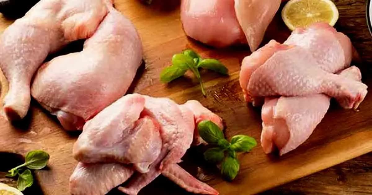 ড্রেসিং করা হাঁস-মুরগি খাওয়া কি জায়েজ