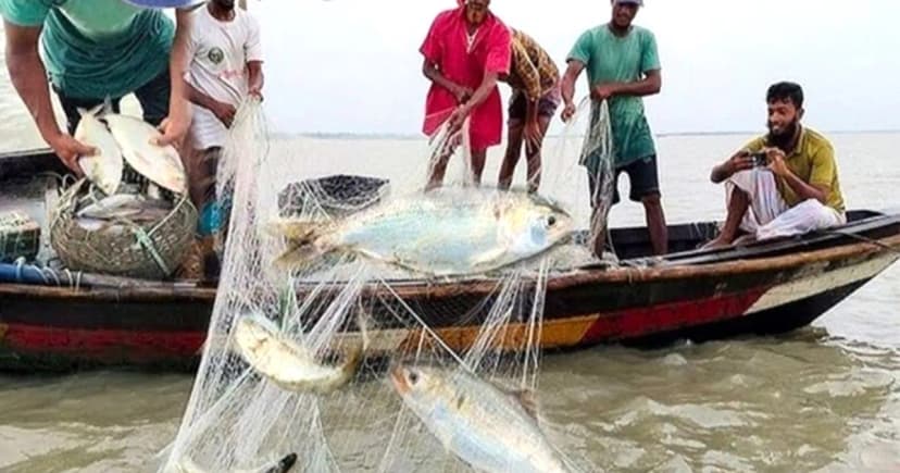 মধ্যরাত থেকে চাঁদপুরে পদ্মা-মেঘনায় দুই মাস ইলিশ ধরা নিষিদ্ধ