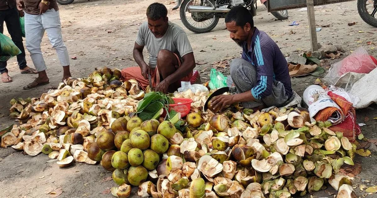 জীবননগরে বেড়েছে তালের শাঁসের কদর