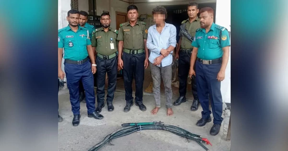 গাজীপুরে বৈদ্যুতিক তার চুরি করতে গিয়ে আনসার সদস্যদের হাতে যুবক আটক