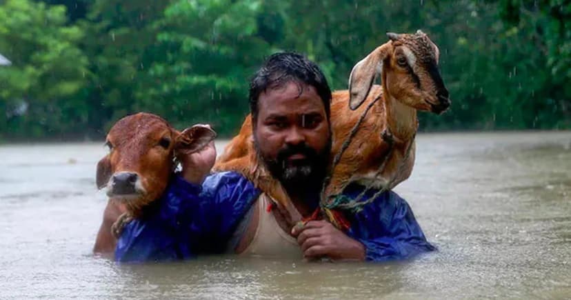 বন্যার ঝুঁকিতে দেশের আরও ১০ জেলা