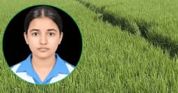 জীবন বাঁচাতে ধানক্ষেতে ছুটেছিল জান্নাতুল তাজমিন, মিলল মরদেহ